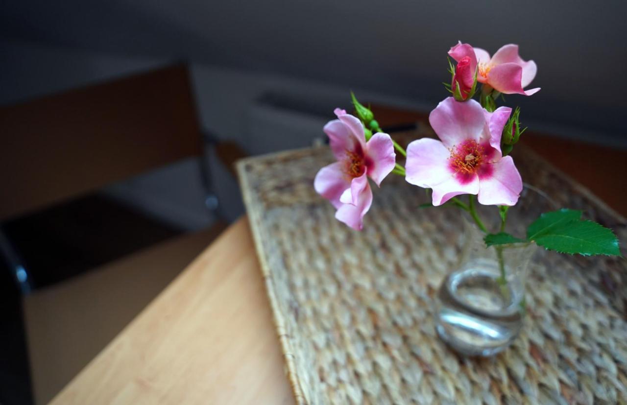 Altstadt Fereienwohnung Hameln ฮาเมลน์ ภายนอก รูปภาพ